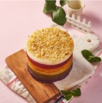 반려견 케이크 강아지 애견 생일 파티 수제 케이크 케익 : 달다란인생