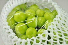 고당도 특상품 샤인머스켓 1.5kg 2kg 1수 3수 제철 여름 과일 : 더블조이1224