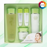 여성기초세트 알로에화장품 지성피부화장픔 선물세트 : 다담꼬 01