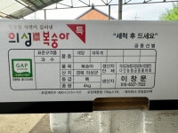 2026년 단북농장 의성 진복숭아 물복숭아 말랑이 대옥계 딱딱이 대양 4kg : 단북농장