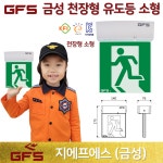 (주)부림씨앤에프천안아산지점 - 33826 | GFS 금성 천장형 유도등 소형 /지에프에스 /천장소형 고효율 KC 국가검정품 도매 : 부림소방