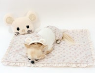 포펫츠온리 TopoMio Monogram Mini Furry Cover : 헤이도그 송도본점