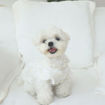 강아지원피스 애견드레스 공주옷 플라워 시스루 : 카로펫