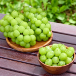 국산 프리미엄 샤인머스켓 1kg 2kg 망고포도 샤인머스캣 : 해남형제