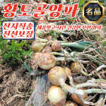 전남 무안 황토골 양파 중대혼합 3kg : 우주다쇼핑