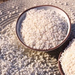경북 영주 황가네 찹쌀 1kg : 장보리샵
