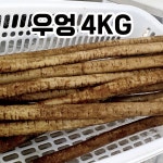 우엉 4kg : 연우팜
