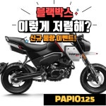 CF MOTO 파피오125 XO2 XO-2 트레일 / 그롬TNT몽키125 : 터보 모터스