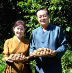 예천 알조은호두농장 국산 햇 알 피호두 산지직송 2kg : 알조은호두농장
