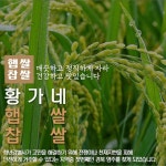 경북 영주 황가네 찹쌀 1kg : 장보리샵