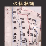 85cm 혈자리 인형 한의학 침술 모형 한방 교구 경혈 80cm 반피반근 : 차수