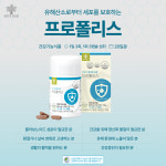 살림의왕(HealthBeauty&Wealth) | [살림의 왕] 하이리빙 프로폴리스 : 살림의 왕