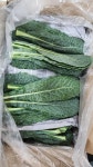 매일매일 새로온 국산 뉴그린(브로콜리 잎) 2kg : 죽도시장 허브팩토리