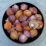 통영 홍가리비 선별 비단 가리비 조개 구이 3kg, 1개 : 일공푸드