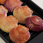 통영 홍가리비 선별 비단 가리비 조개 구이 3kg, 1개 : 일공푸드