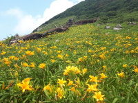 홍도 흑산도 1박2일 (깨끗한숙소, 맛있는식사, ALL 포함) : 비타민여행사
