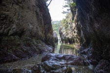 홍도 흑산도 2박3일 (깨끗한숙소, 맛있는식사, ALL 포함) : 비타민여행사
