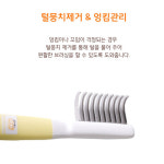 도기맨 털뭉치제거 (털뭉침제거)) : 도그 익스프레스 부천점