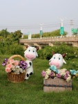 젖소 화분 동물 조형물 커피 독서 축구 동물장식 마당 야외 귀여운 정원  A. 자전거 암소 : 이백도