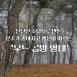 새차고사 자동차 개업 고사상 액막이명태차량 원목 고사 세트 : 큰솔 마켓