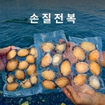 손질전복(대/중/소) 완도 보길도 예송마을 : 완도 쭈네전복