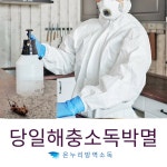 인천 검단 방역소독, 집방역, 방제, 방역업체, 학교방역, 방역전문업체, 샬균,소독청소 : 온누리방역소독