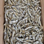 국내산(남해안) 중상급 고주바 다시멸치 500g,  1kg, 1.5kg : 기장명가