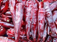 25년 국산 햇 고춧가루 반태양초 고추가루 500g,1kg 김장 햇고추가루 안동 햇고춧가루 : 안동혜성농장