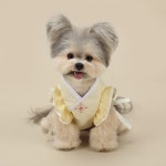 리토가토 강아지 한복 강아지명절 스카프 꽃나래 케이프 한복배자 : 리토가토