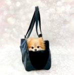 포펫츠온리 Timeless Bag Black : 헤이도그 송도본점