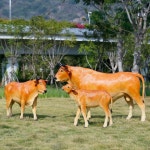 황소 조형물 축산 농장 한우 조각상 모형 : 행복한의류가구