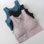 빅사이즈 노와이어 스포츠브라탑 3+1 : 온드레