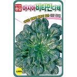 아시아종묘 다채 비타민다채 4000립 : 화도팜
