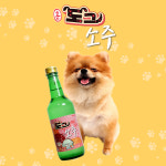 당황 도그소주 반려견 간식 강아지 소주 무알콜 : 트리플제이맘