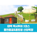 [태백택시투어3코스] 용연동굴 / 몽토랑 산양목장 당일기차여행 최소2명이상, 수-일요일 : 여행114