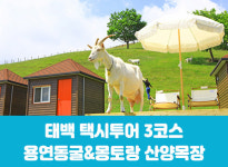 [태백택시투어3코스] 용연동굴 / 몽토랑 산양목장 당일기차여행 최소2명이상, 수-일요일 : 여행114