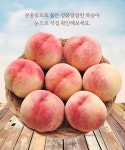 영주 순흥   황도 백도 딱딱이 말랑이 복숭아 4kg : 율수농장