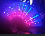 LED 댄스부채 무용 공연 부채춤부채 8광 13광 행사 무대 : 호도익스프레스