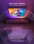 고비 스마트 TV 라이트바 Govee H6042 : TMSKOREA