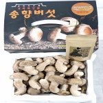 착한송이 송향버섯 송화송고 송화고 가정용1kg : 송향버섯농장
