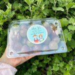 국산 씨없는 바이올렛킹포도 알알이 500g : 오로라농장