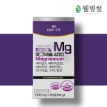 프리미엄 고함량 산화 마그네슘400 플러스 근육 마그네슘정 효능 90정, 1개 : 웰빙썸
