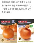 오스템바이오 테라마루 도꾸이 양파100g 저장성 중조생 : 농사의신 씨앗백화점