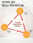 [에스지엔바이오] 닥터에스지엔 스노우 리턴세럼 Dr SGN SNOW RETURN SERUM 50ml : 에스지엔바이오