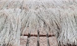 효심당 시골된장 전통 집된장 재래식 명인된장 2kg : 고창 마켓