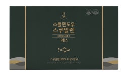 스몰윈도우 스쿠알렌 6+1 : 작은창큰풍경 수지성복점