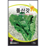 여수 돌산갓 씨앗 30g 갓김치 전라도 가을 김장 채소 토종 재래종 씨종자 텃밭 주말 농장 : 친환경식물 키움스토어