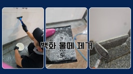 안산 사우나 목욕탕 백화 물 떼 곰팡이 제거 전체 정소 전문 업체 : 종합청소전문성실환경
