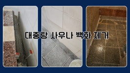 안산 사우나 목욕탕 백화 물 떼 곰팡이 제거 전체 정소 전문 업체 : 종합청소전문성실환경