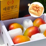 제주 애플망고 특상품 선물용 농장직송 국내산 망고 : 지장샘농장